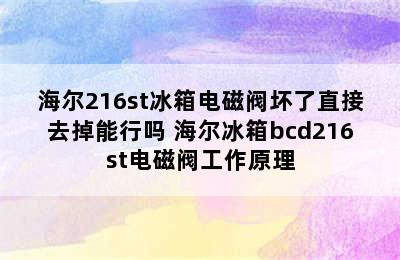 海尔216st冰箱电磁阀坏了直接去掉能行吗 海尔冰箱bcd216st电磁阀工作原理